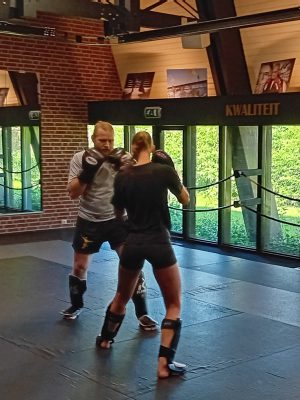 staankickboks staankickboks